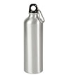 BLK-ICO-279 - 25 Oz. Aluminum Alpine Bottle