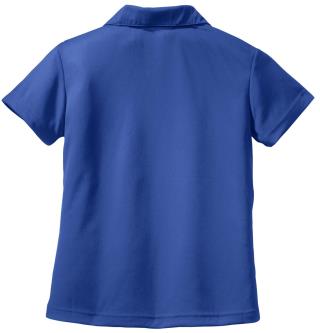 Ladies' Dri-Mesh V-Neck Sport Shirt